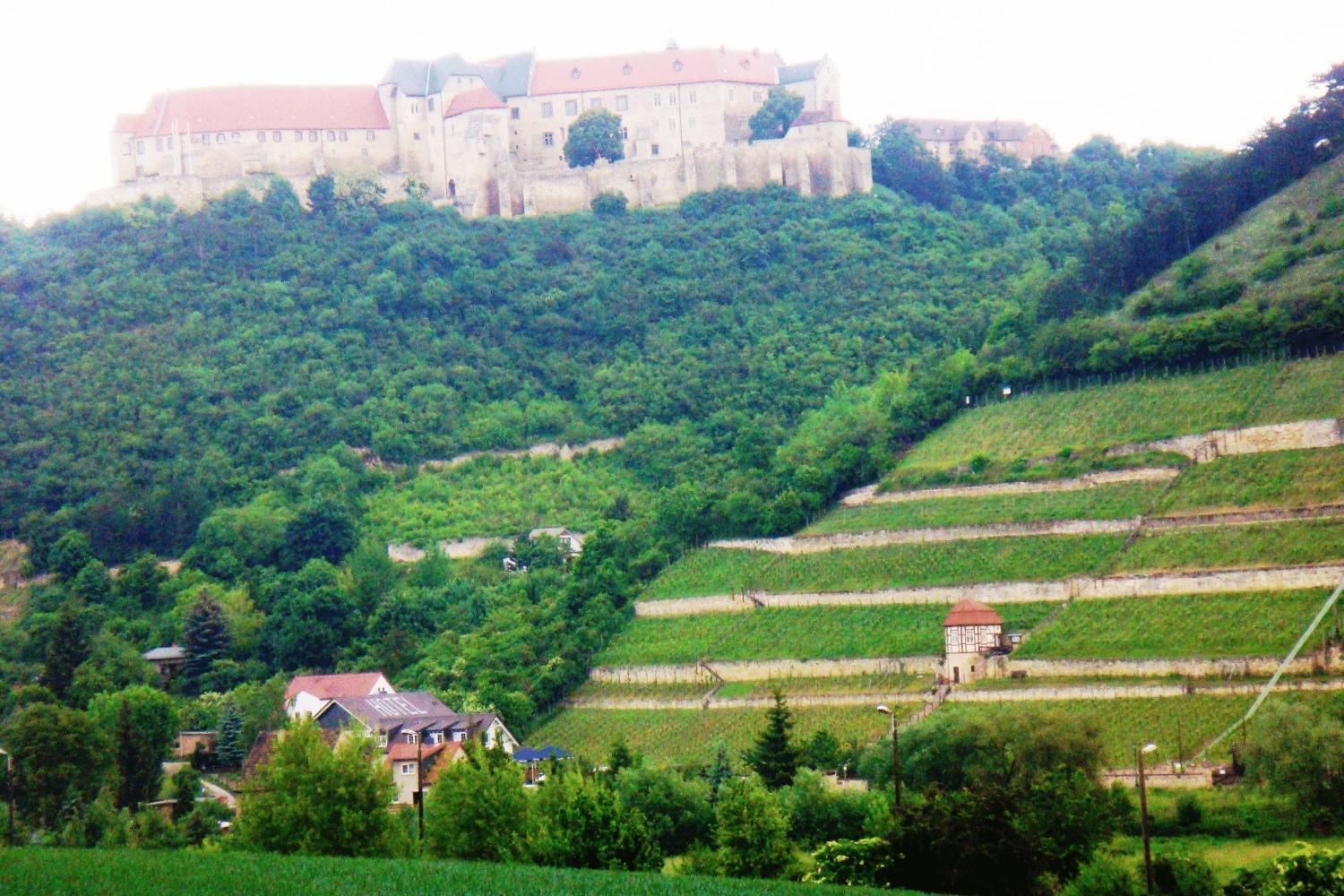 Landhotel Weingut Schulze Freyburg Exterior foto